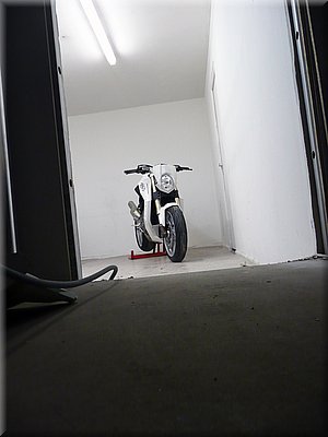 yacouba-bestiale_12.jpg