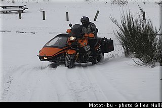 millevaches 2012 nulli 0002.JPG