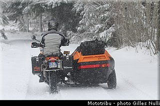 millevaches 2012 nulli 0003.JPG