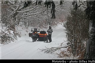 millevaches 2012 nulli 0004.JPG