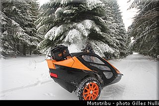 millevaches 2012 nulli 0008.JPG
