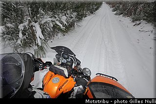 millevaches 2012 nulli 0009.JPG