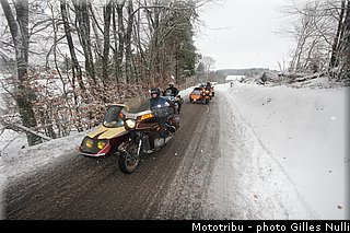 millevaches 2012 nulli 0015.JPG