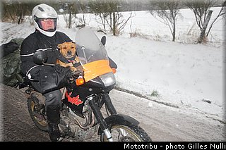 millevaches 2012 nulli 0020.JPG