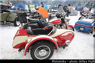 millevaches 2012 nulli 0072.JPG