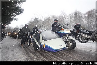 millevaches 2012 nulli 0089.JPG