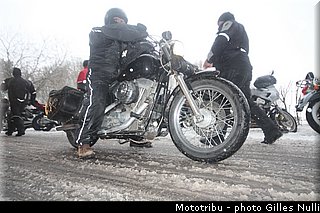 millevaches 2012 nulli 0099.JPG