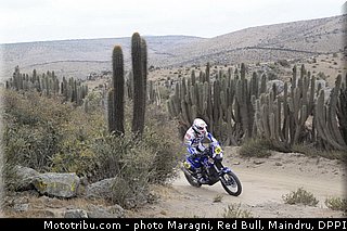 verhoeven_0041_dakar_2013.jpg