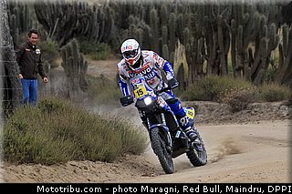 verhoeven_0042_dakar_2013.jpg