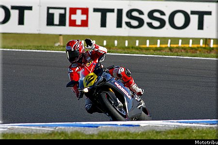 mamola_2.jpg