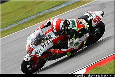 250_simoncelli_01.jpg