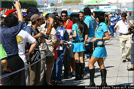 pitbabes_13.jpg