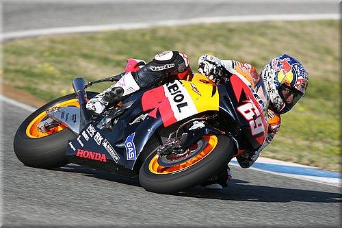 0052hayden003.jpg