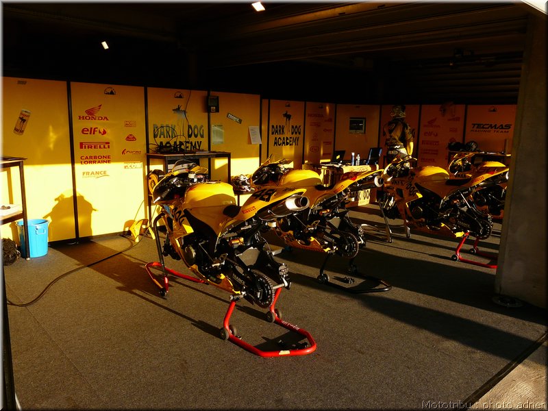 0023-paddock-001