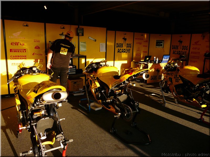 0025-paddock-003