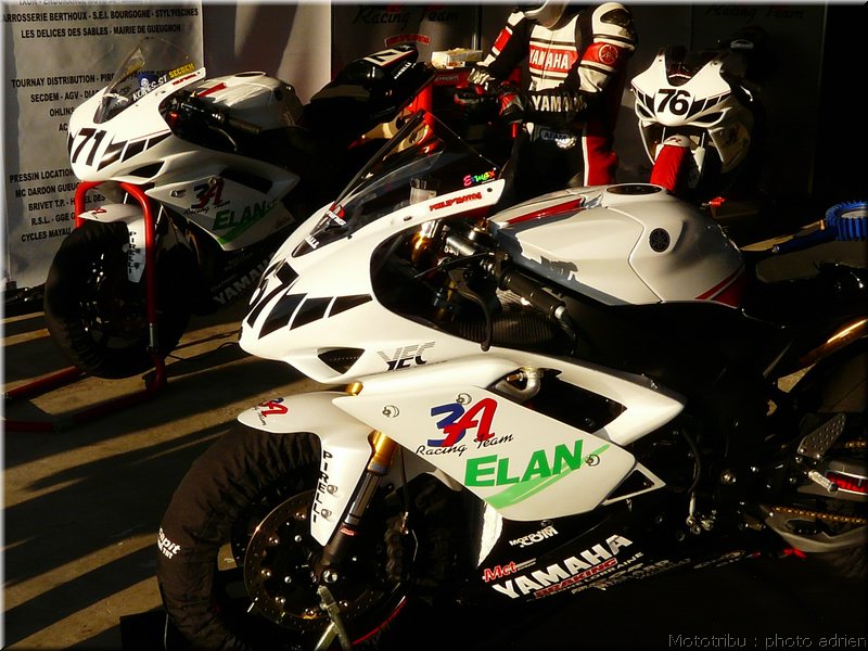 0027-paddock-005