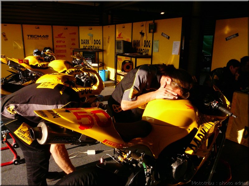 0035-paddock-013