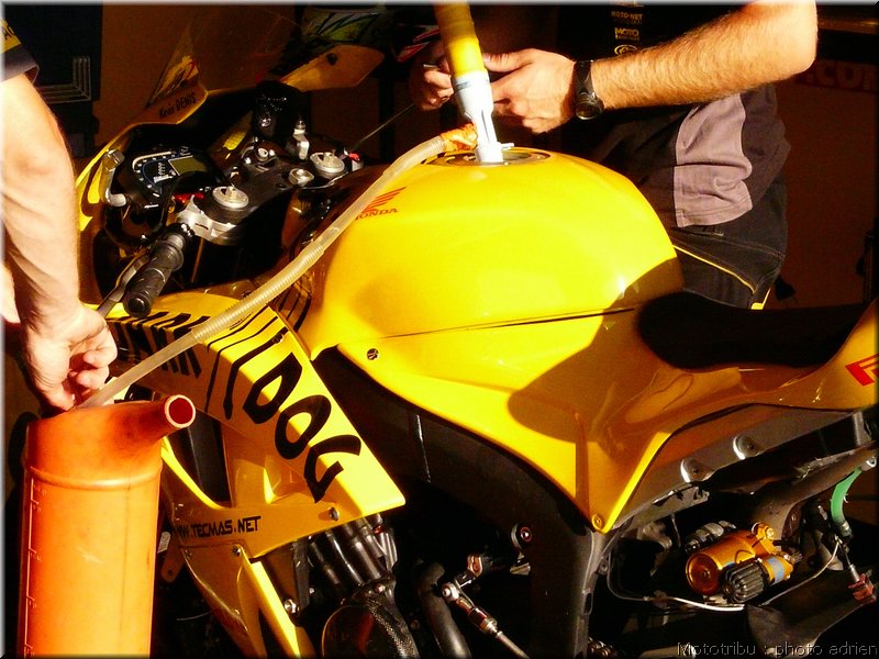 0037-paddock-015