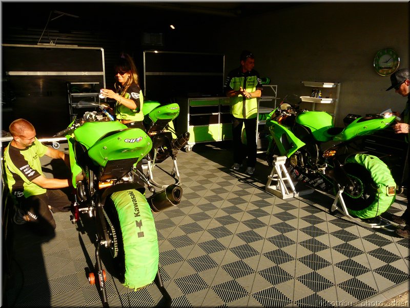 0043-paddock-021