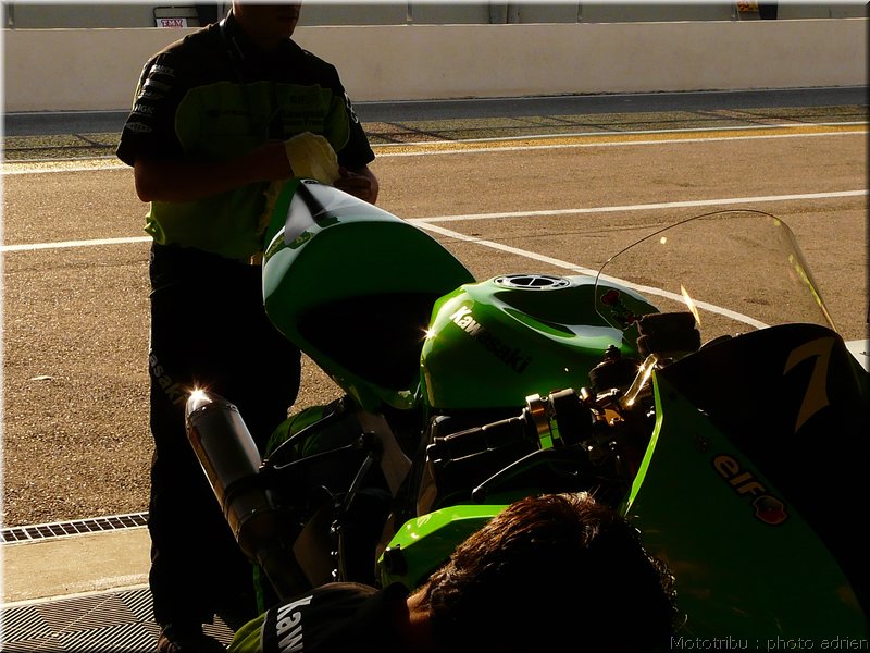 0047-paddock-025