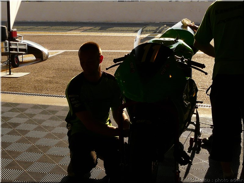 0049-paddock-027