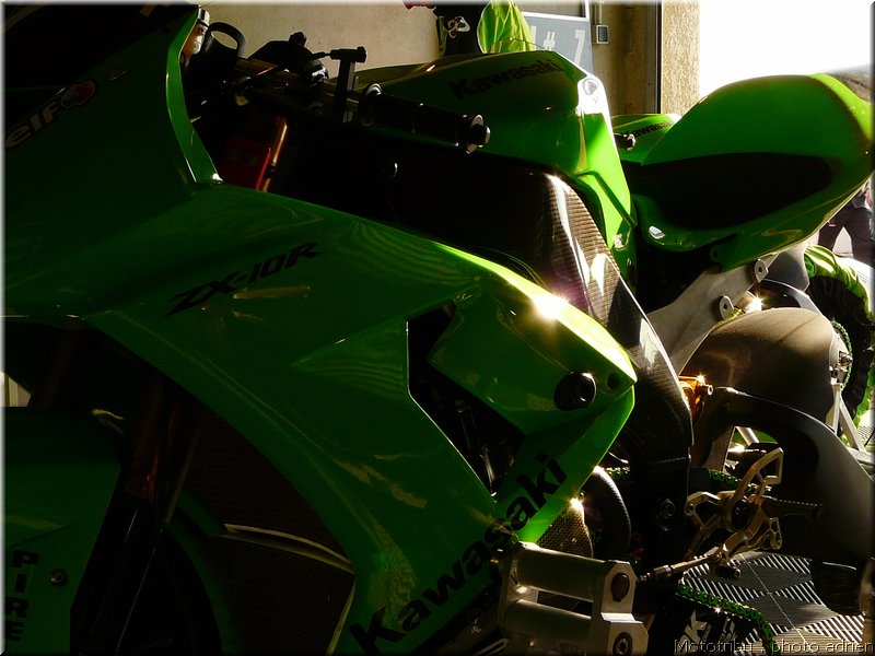 0051-paddock-029