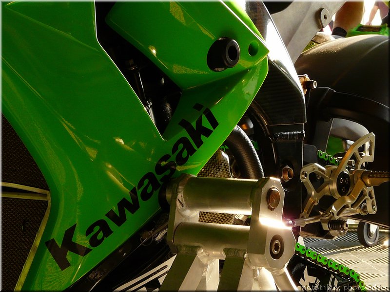 0053-paddock-031