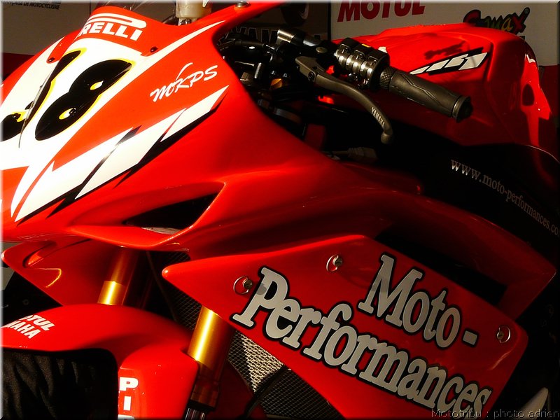 0063-paddock-041