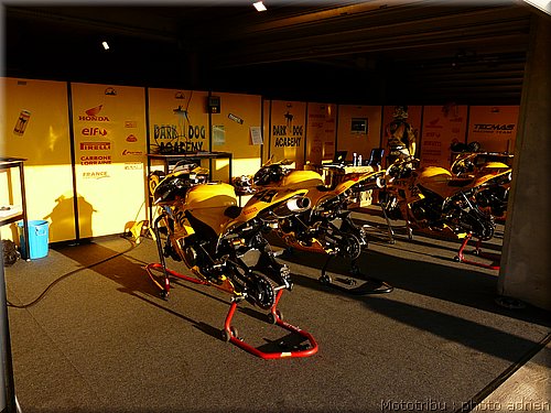 0023-paddock-001.JPG