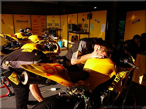 0035-paddock-013.JPG