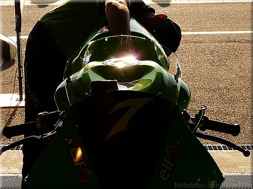 0046-paddock-024.JPG