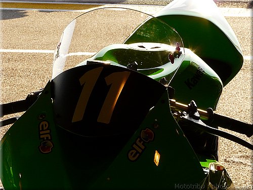 0050-paddock-028.JPG