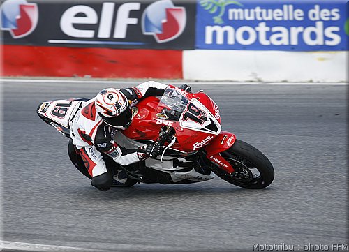 pirelli-loiseau.jpg