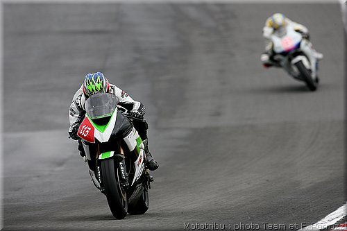 stk1000-morais_4.jpg
