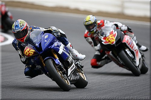 stk600_2.jpg