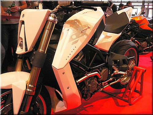yacouba-bestiale-mondial2007_04.JPG