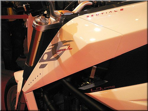 yacouba-bestiale-mondial2007_10.JPG