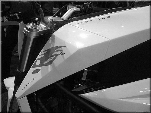yacouba-bestiale-mondial2007_11.JPG