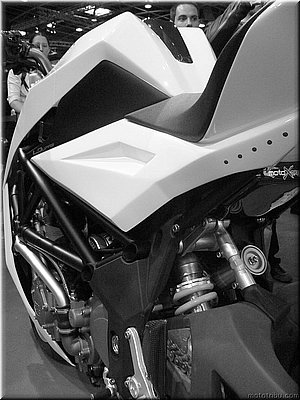 yacouba-bestiale-mondial2007_13.JPG