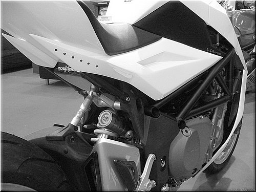 yacouba-bestiale-mondial2007_19.JPG