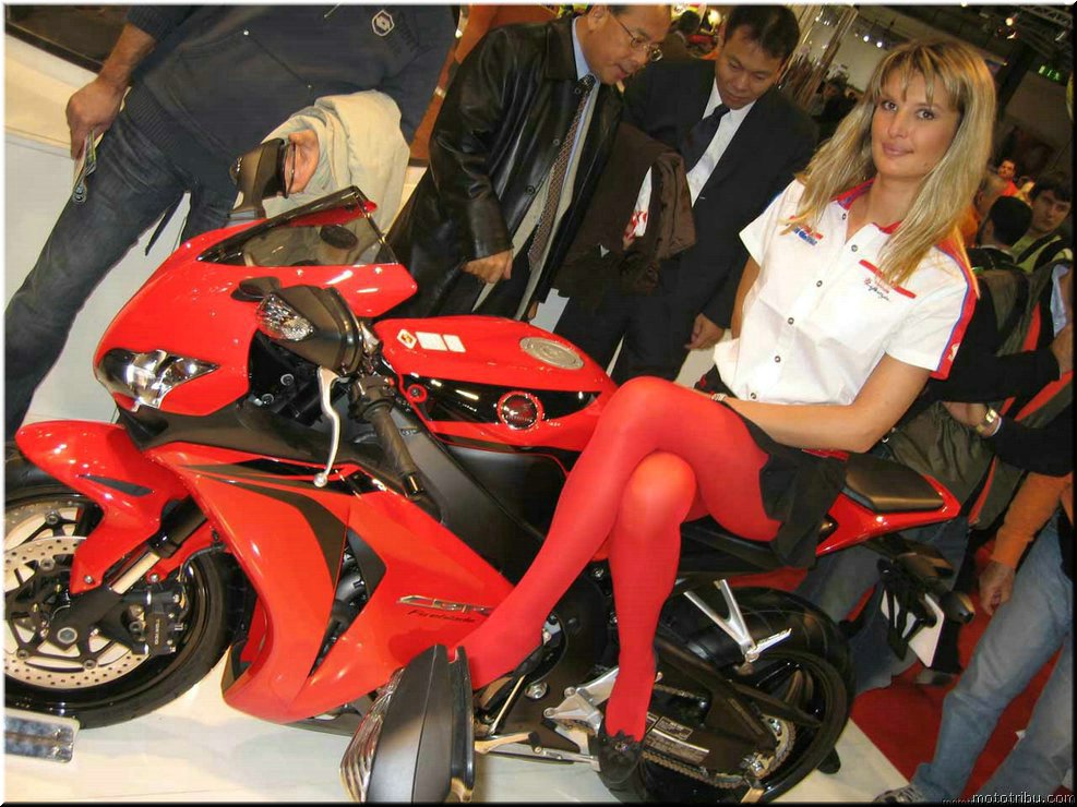 MOTO 
