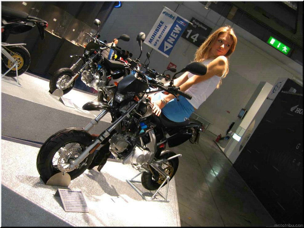 MOTO 