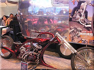 divers-mondial2007-007.JPG