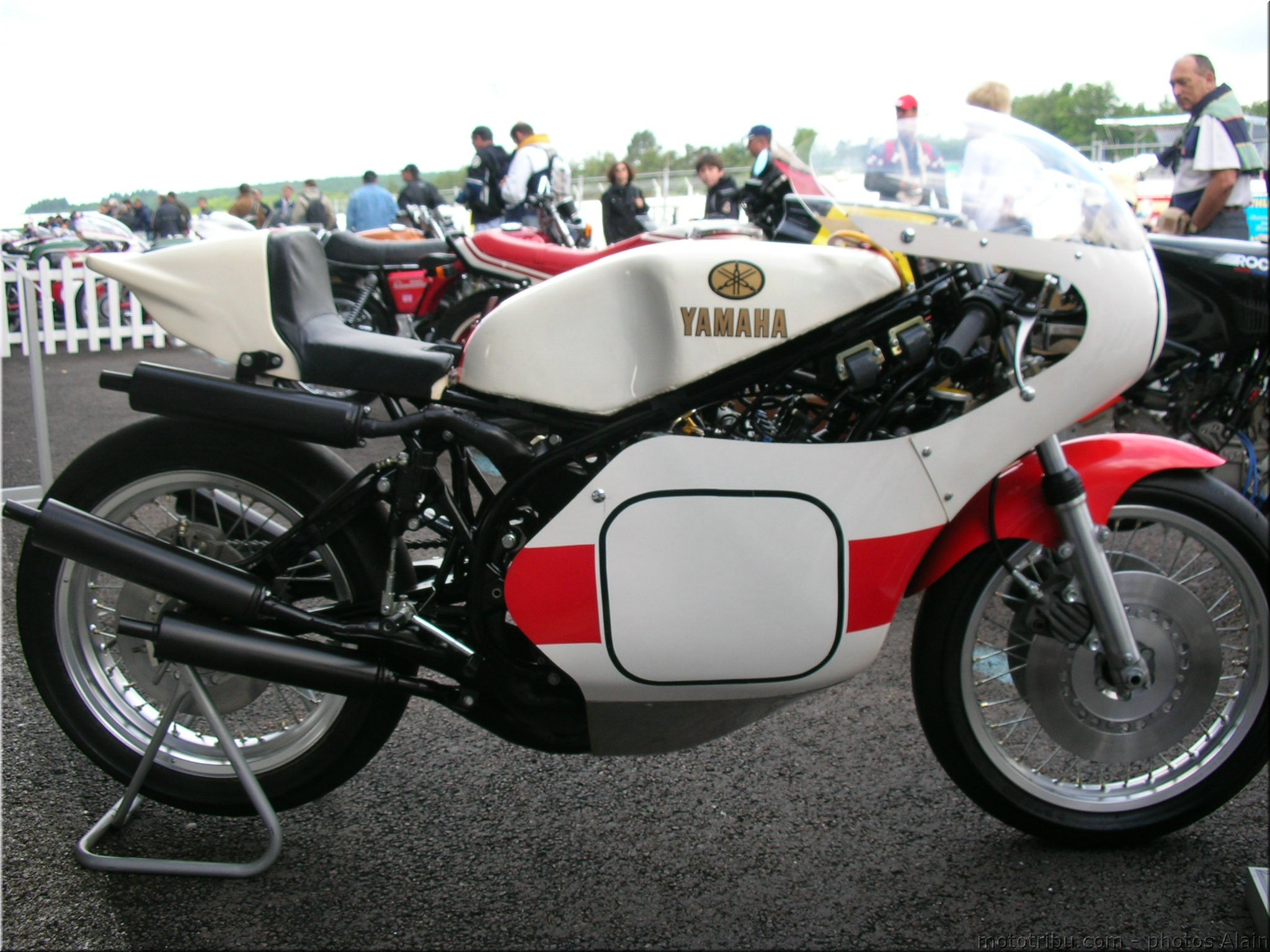 MOTO 