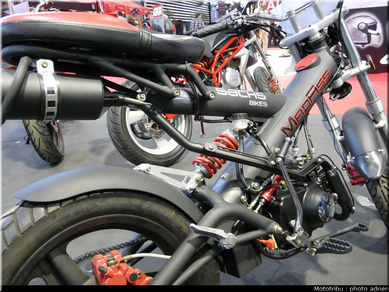 sachs_10