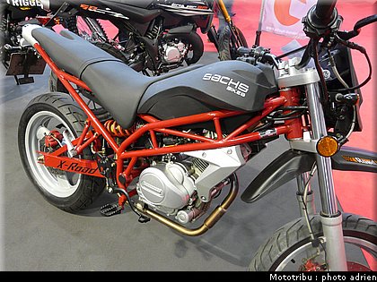 sachs_01.JPG