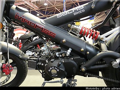 sachs_06.JPG