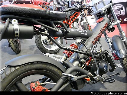 sachs_10.JPG