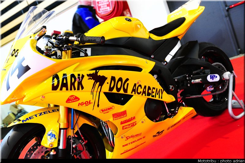 0030_dark_dog_5