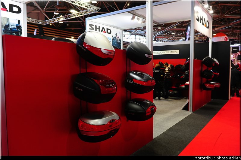 0124_shad_2